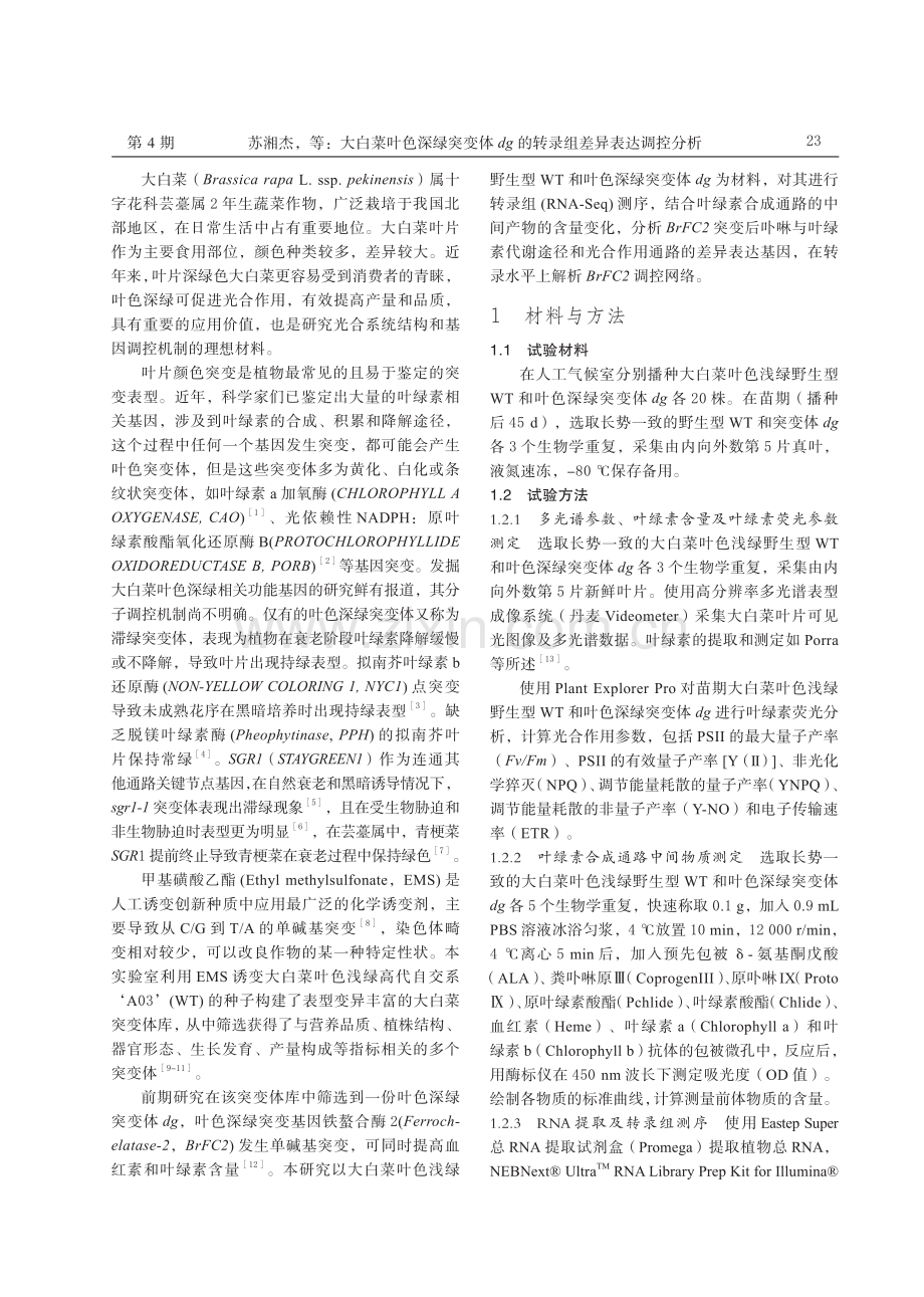 大白菜叶色深绿突变体 dg 的转录组差异表达调控分析.pdf_第2页