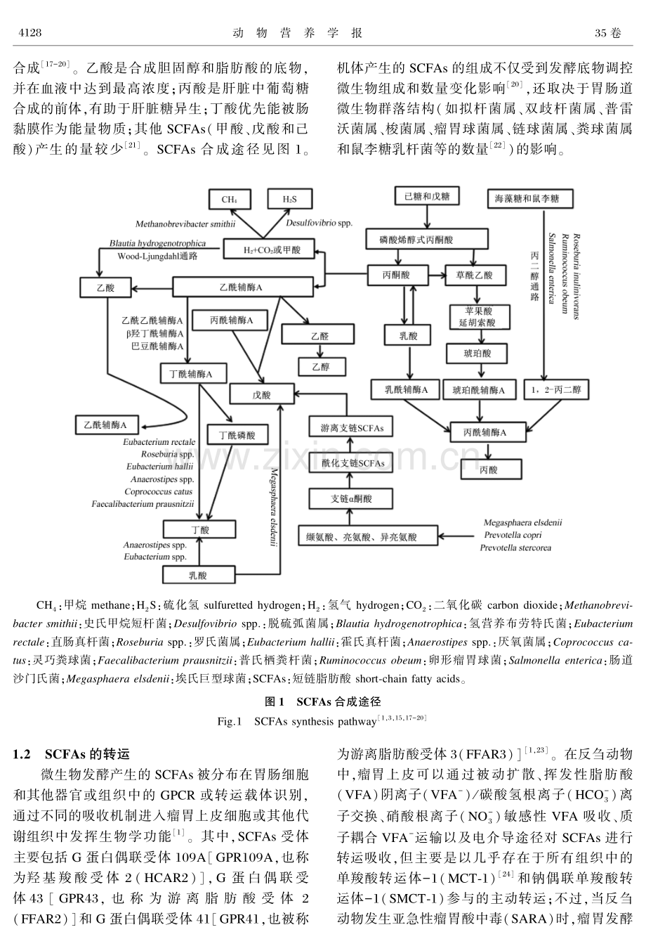 短链脂肪酸对反刍动物糖和脂代谢及肠道屏障的调控以及其在生产中的应用.pdf_第2页