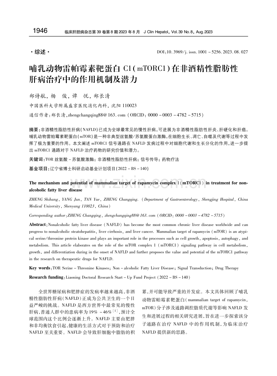 哺乳动物雷帕霉素靶蛋白C1%28mTORC1%29在非酒精性脂肪性肝病治疗中的作用机制及潜力.pdf_第1页