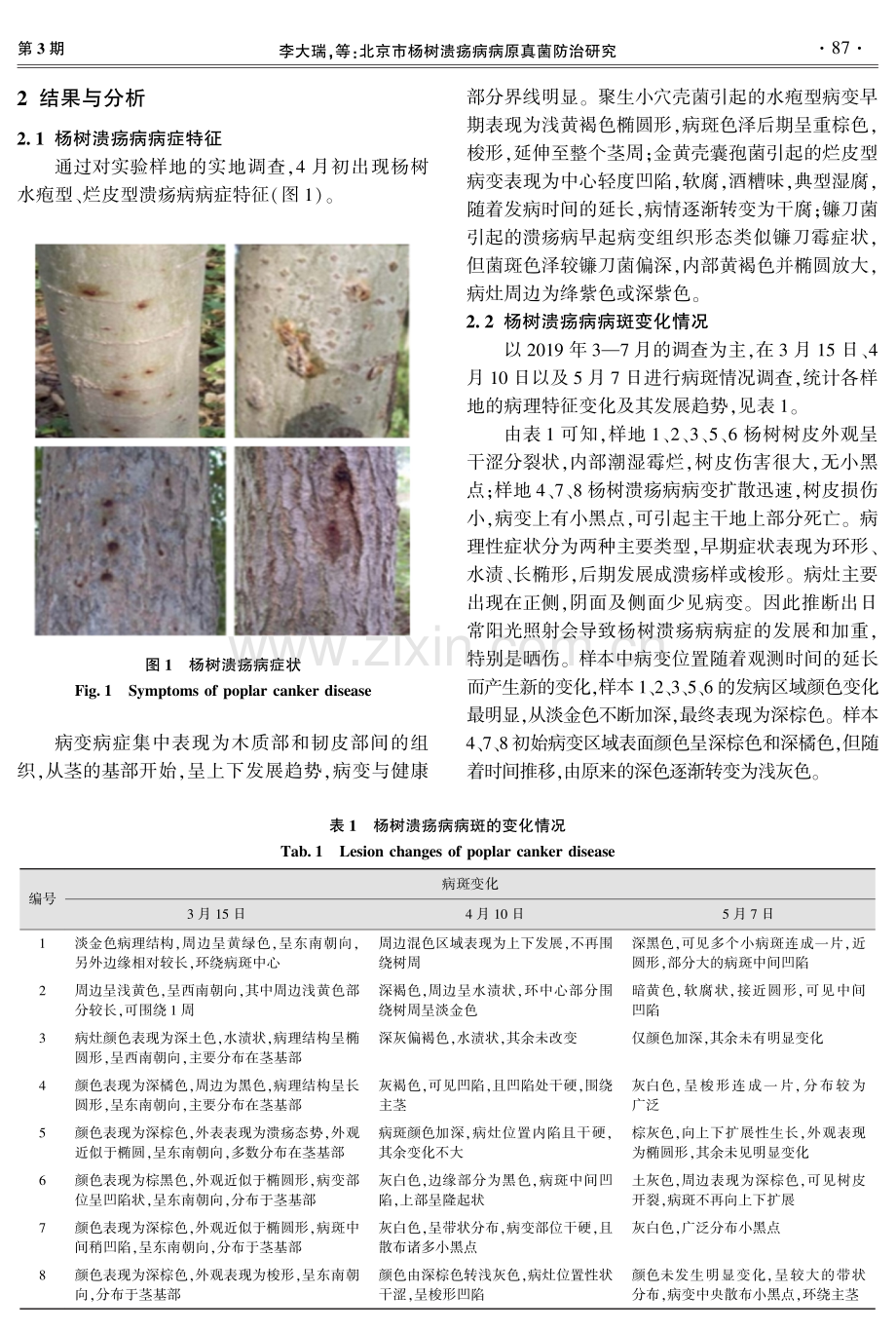 北京市杨树溃疡病病原真菌防治研究.pdf_第3页