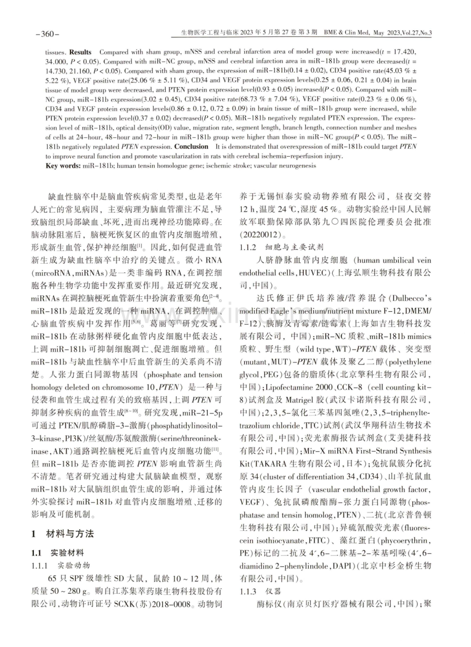 miR-181b通过靶向PTEN调控缺血性脑卒中后血管新生的作用和机制研究.pdf_第2页