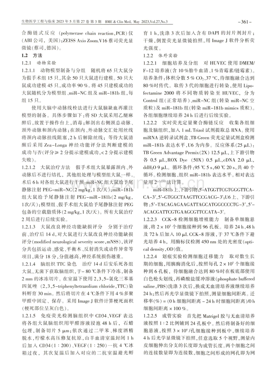 miR-181b通过靶向PTEN调控缺血性脑卒中后血管新生的作用和机制研究.pdf_第3页