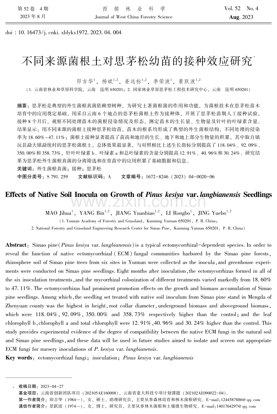 不同来源菌根土对思茅松幼苗的接种效应研究.pdf_第1页