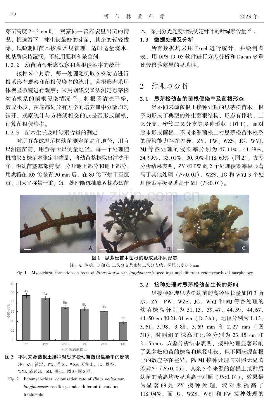 不同来源菌根土对思茅松幼苗的接种效应研究.pdf_第3页