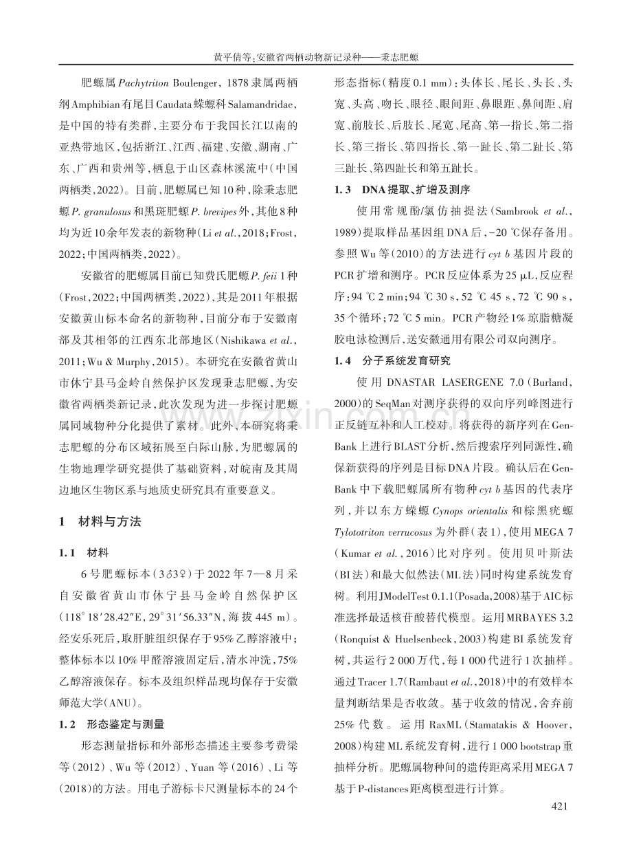 安徽省两栖动物新记录种——秉志肥螈.pdf_第2页