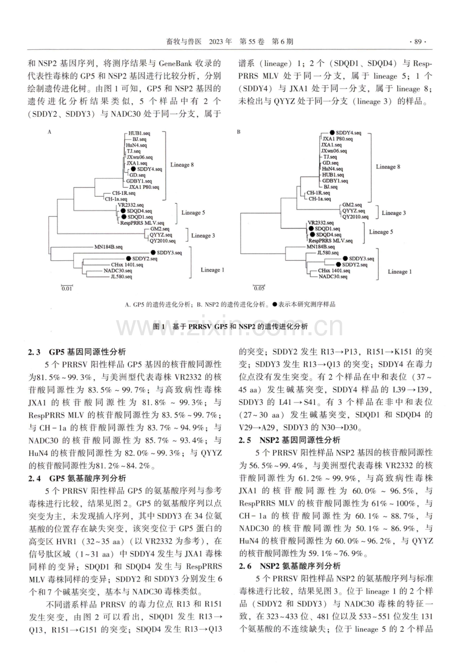 2021—2022年山东省猪繁殖与呼吸综合征病毒分子流行病学调查.pdf_第3页