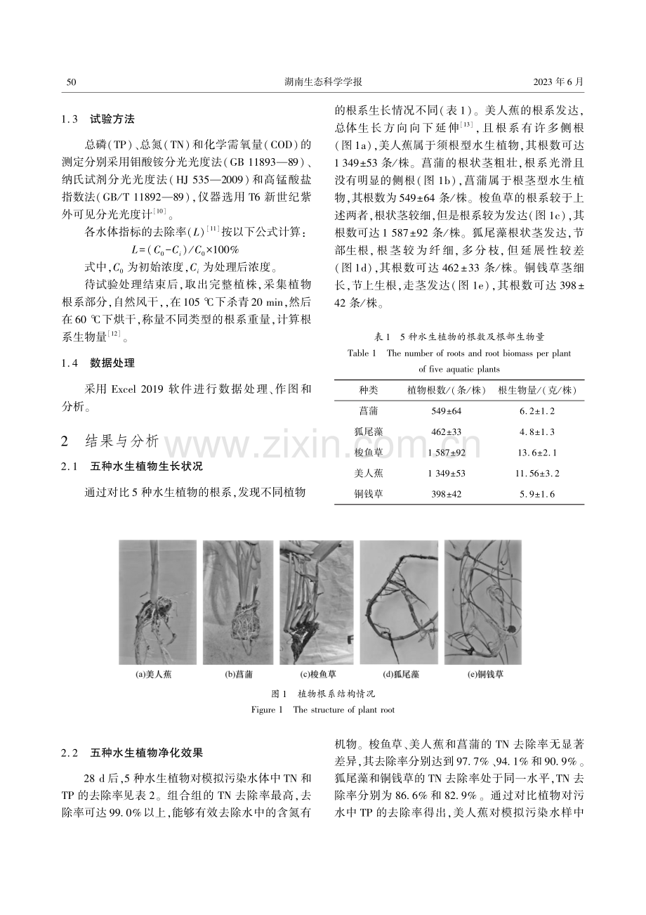 5种水生植物对富营养化水体净化效果研究.pdf_第3页