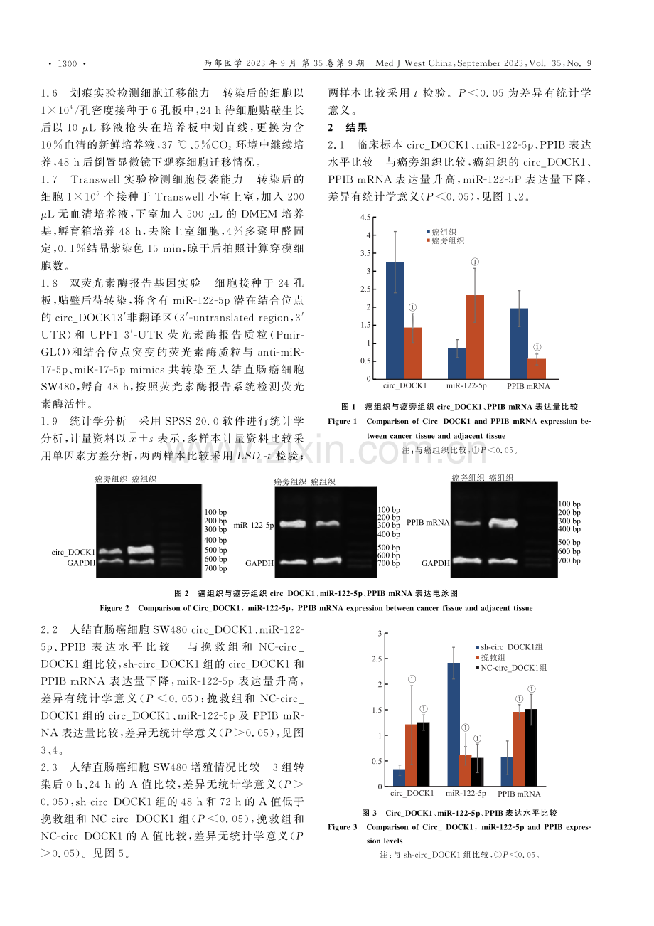 Circ_DOCK1调节miR-122-5p_PPIB轴对结直肠癌细胞增殖、迁移和侵袭的影响.pdf_第3页