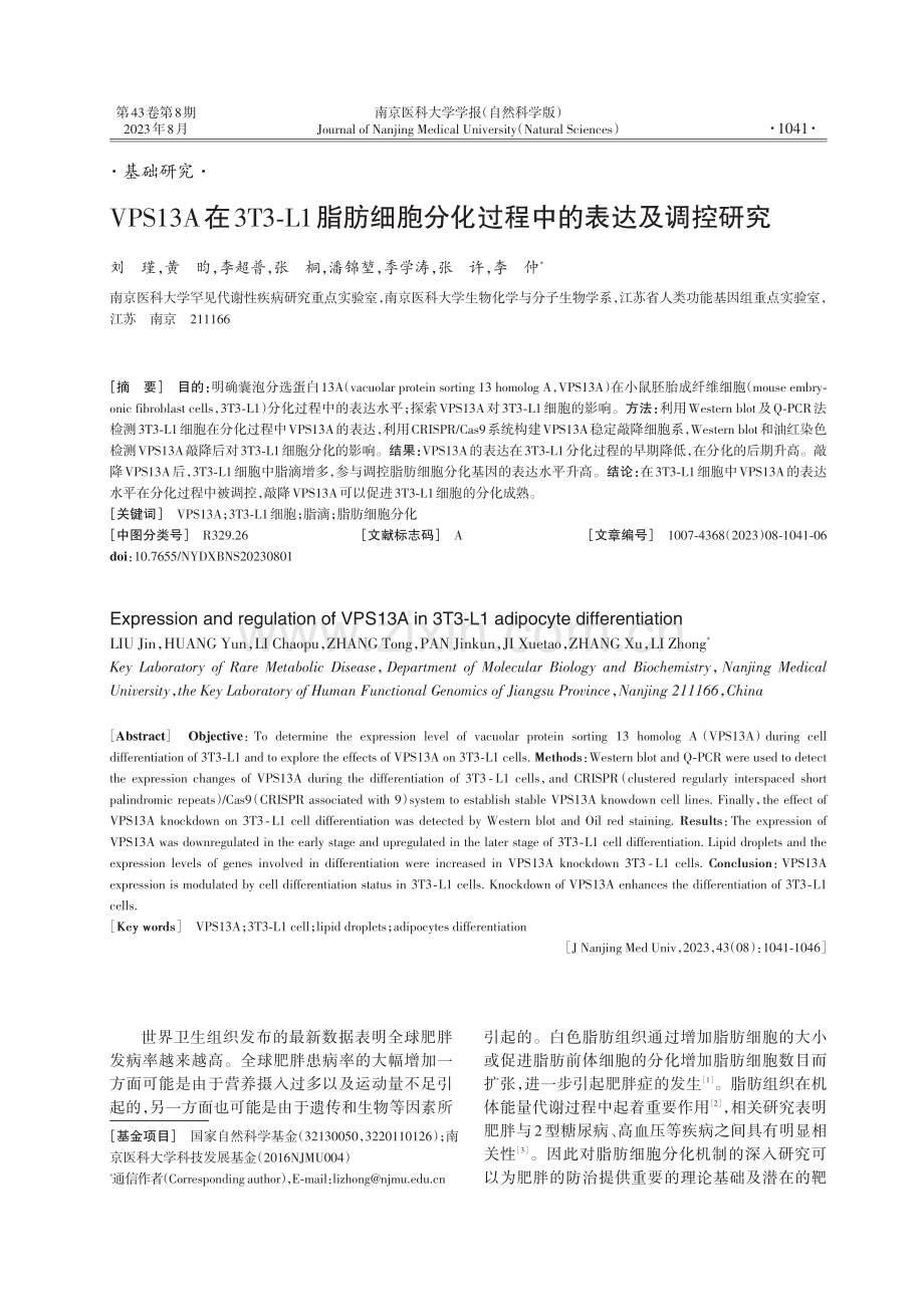 VPS13A在3T3-L1脂肪细胞分化过程中的表达及调控研究.pdf_第1页