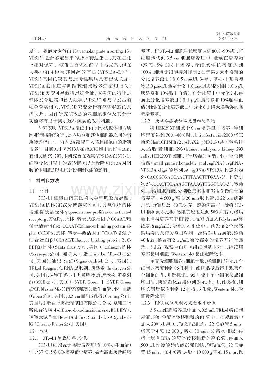 VPS13A在3T3-L1脂肪细胞分化过程中的表达及调控研究.pdf_第2页