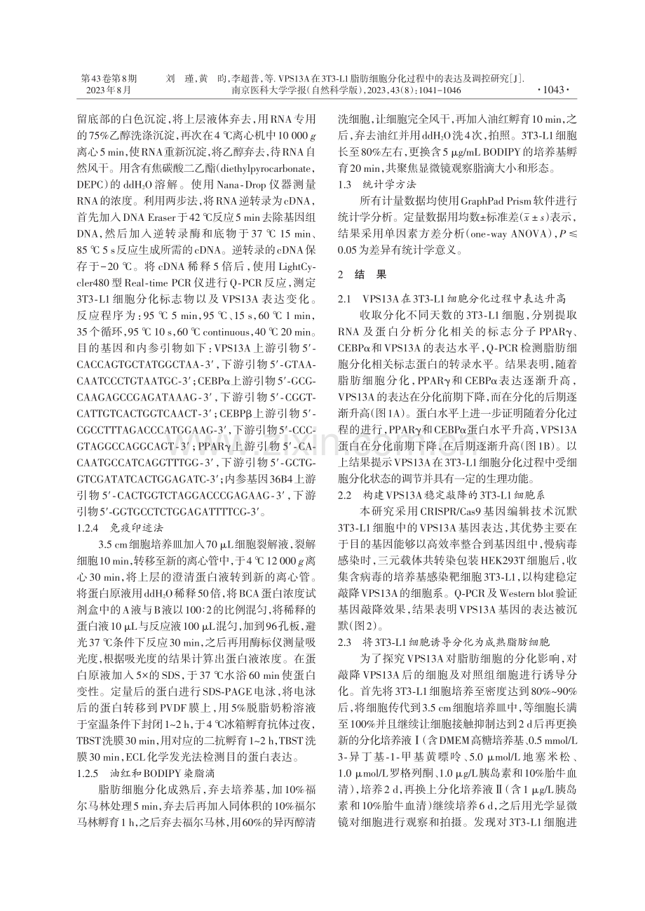 VPS13A在3T3-L1脂肪细胞分化过程中的表达及调控研究.pdf_第3页