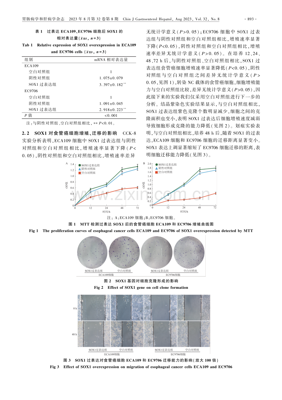 SOX1过表达抑制食管癌细胞的增殖并促进凋亡的发生.pdf_第3页