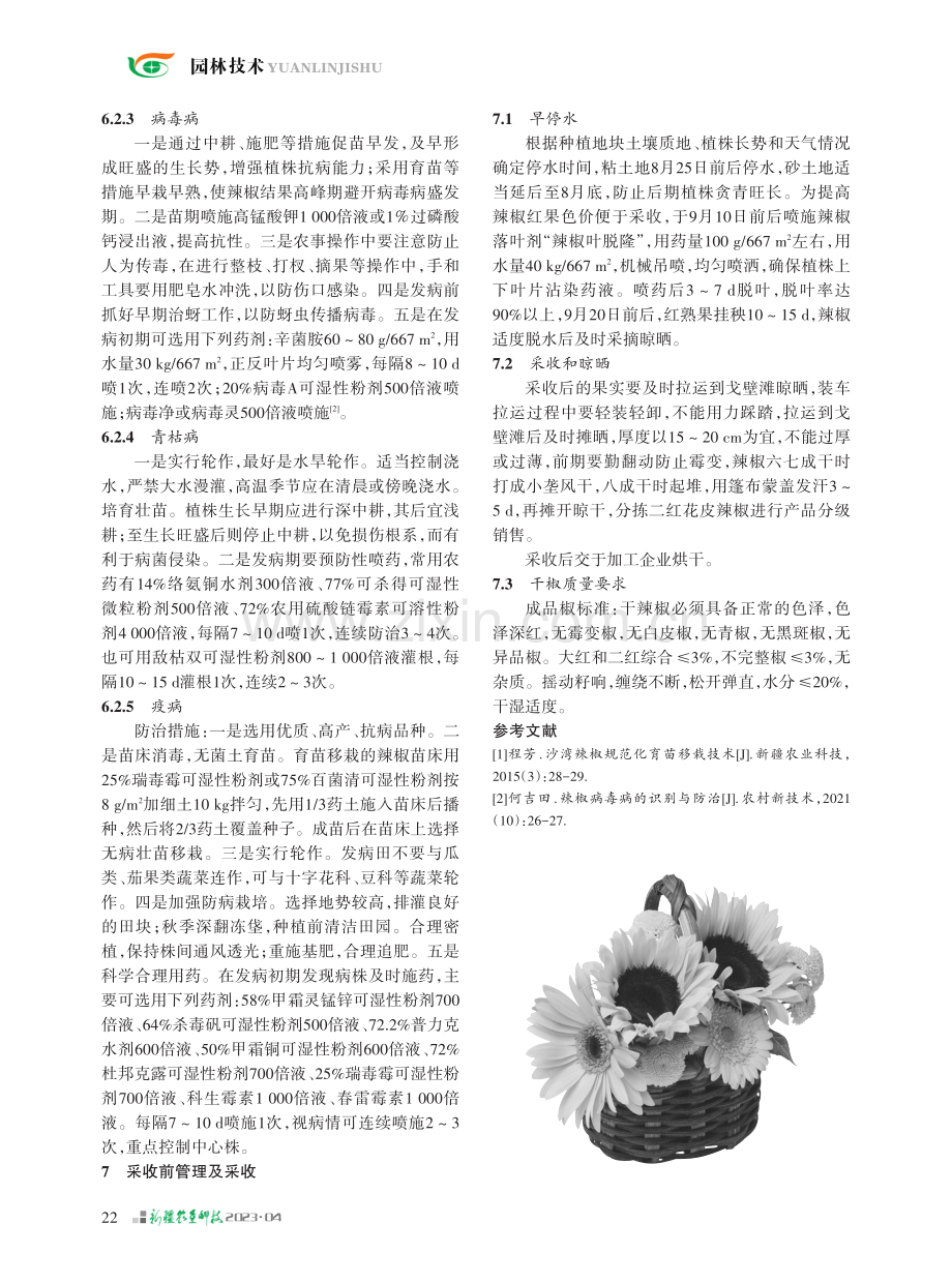 安集海垦区加工辣椒高产栽培技术.pdf_第3页