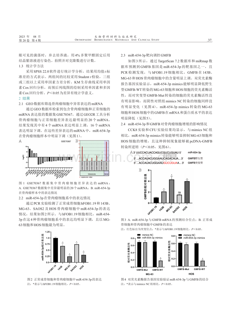 miR-654-3p靶向GMFB抑制骨肉瘤细胞增殖的作用及机制研究.pdf_第3页