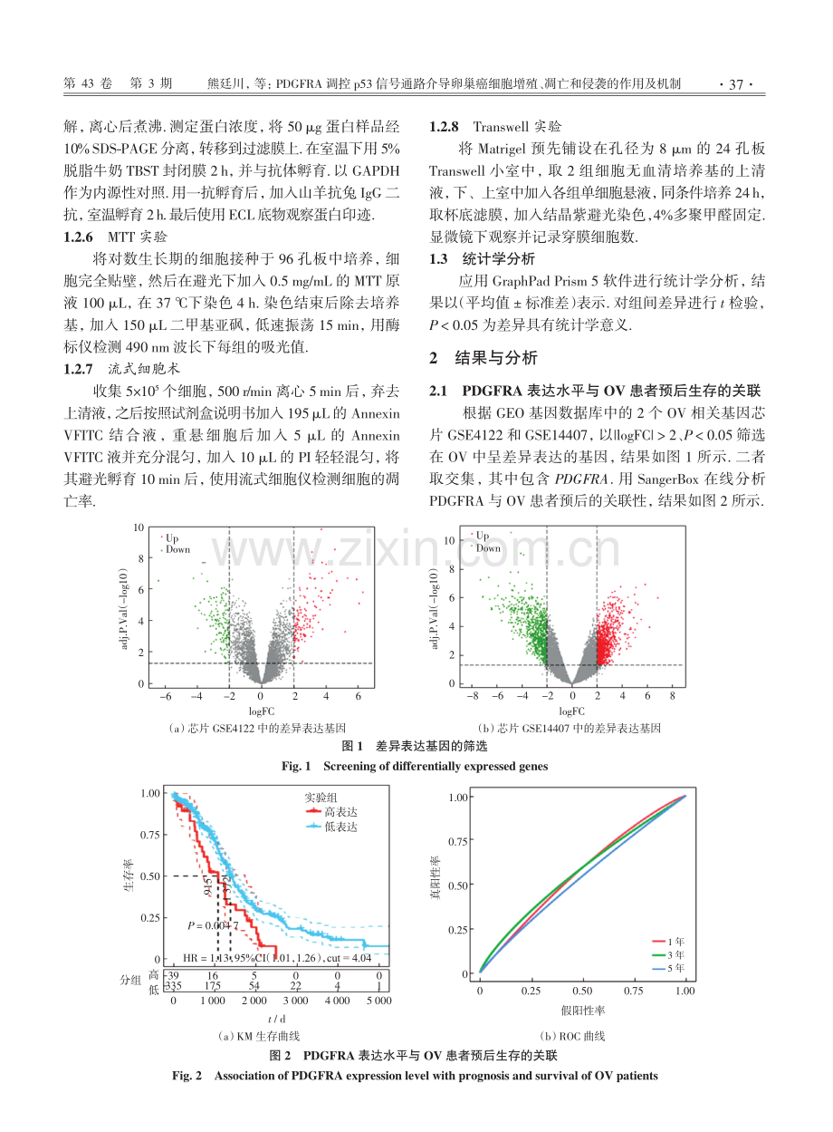 PDGFRA调控p53信号通路介导卵巢癌细胞增殖、凋亡和侵袭的作用及机制.pdf_第3页