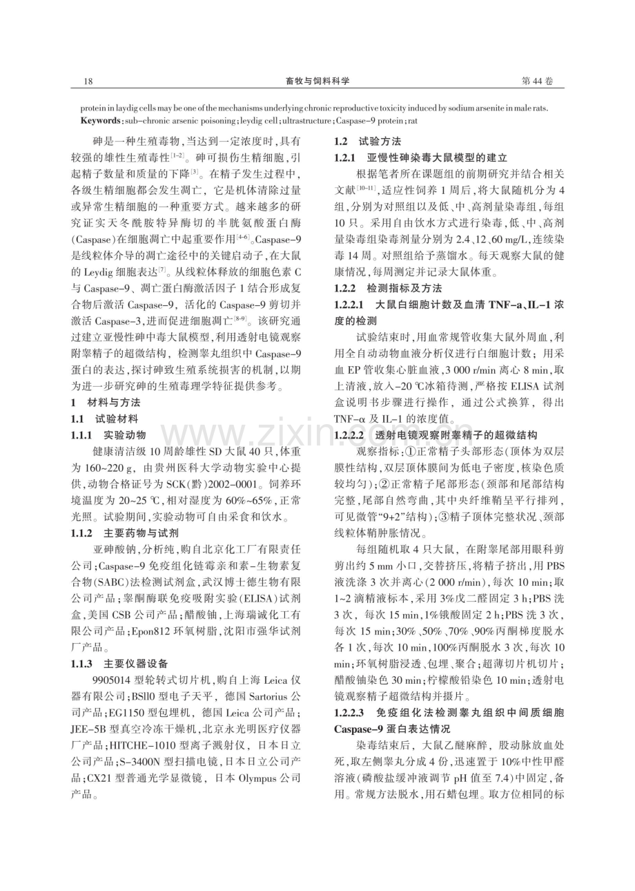 Caspase-9蛋白在亚慢性砷染毒大鼠睾丸间质细胞中的表达研究.pdf_第2页