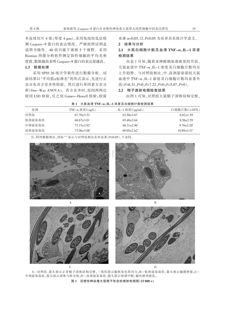 Caspase-9蛋白在亚慢性砷染毒大鼠睾丸间质细胞中的表达研究.pdf_第3页