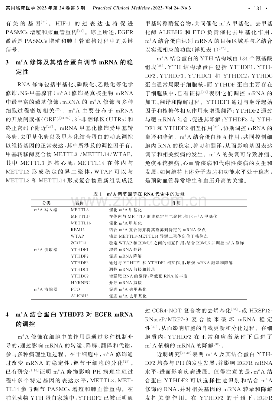 EGFR m%5E%286%29A修饰参与肺动脉高压发病机制的研究进展.pdf_第3页