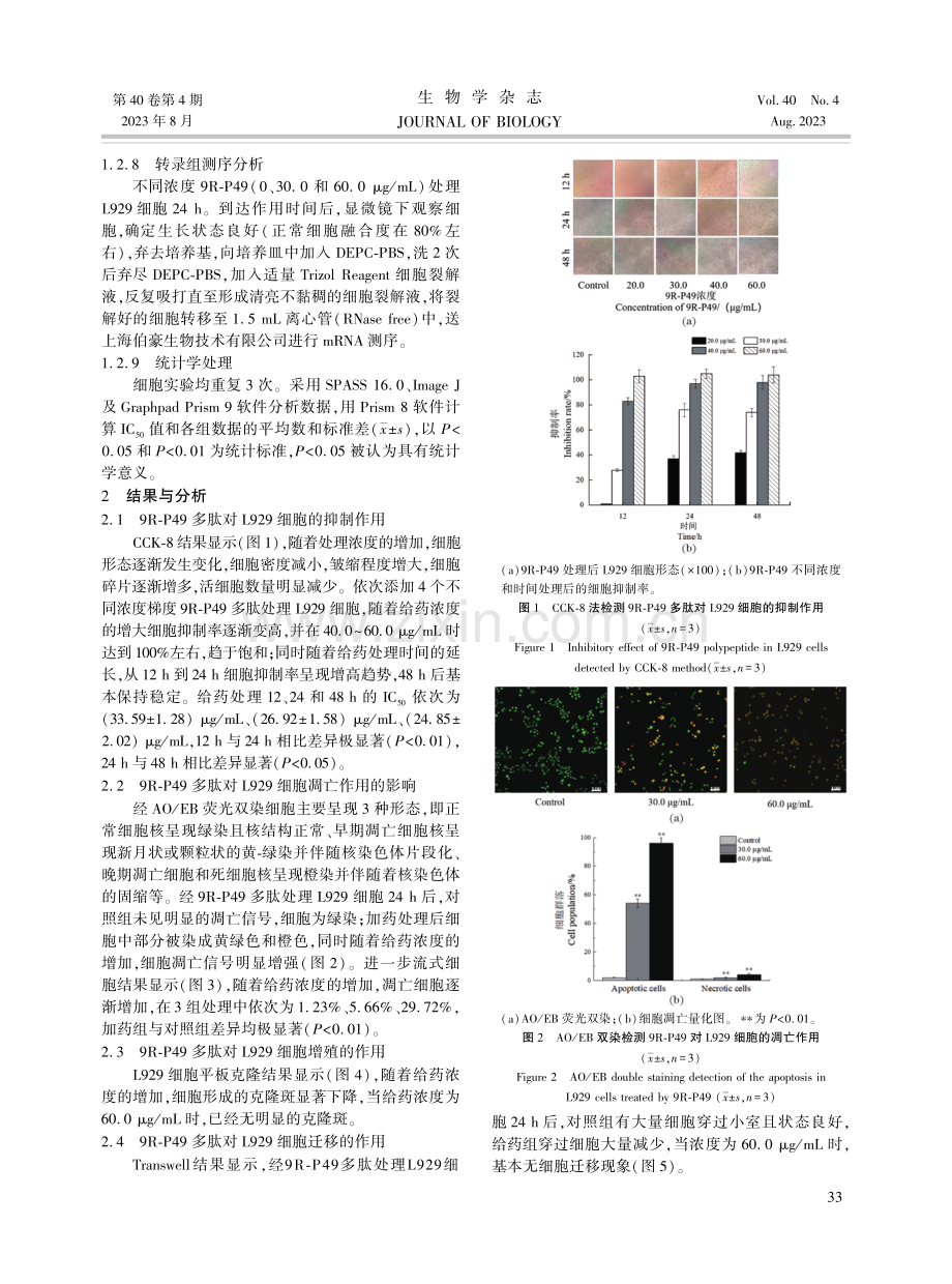 FoxM1靶向肽9R-P49对L929成纤维细胞的抑制作用及机制.pdf_第3页