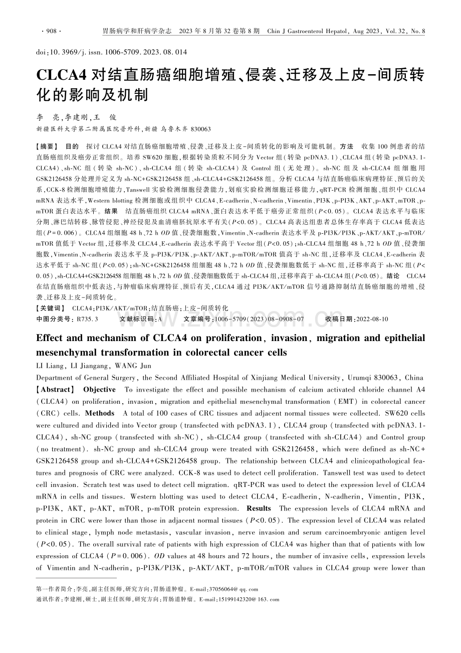 CLCA4对结直肠癌细胞增殖、侵袭、迁移及上皮-间质转化的影响及机制.pdf_第1页