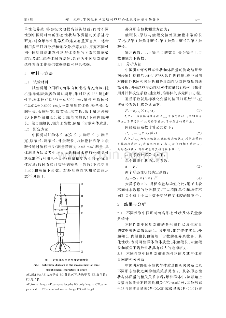 不同性别中国明对虾形态性状与体质量的关系.pdf_第2页