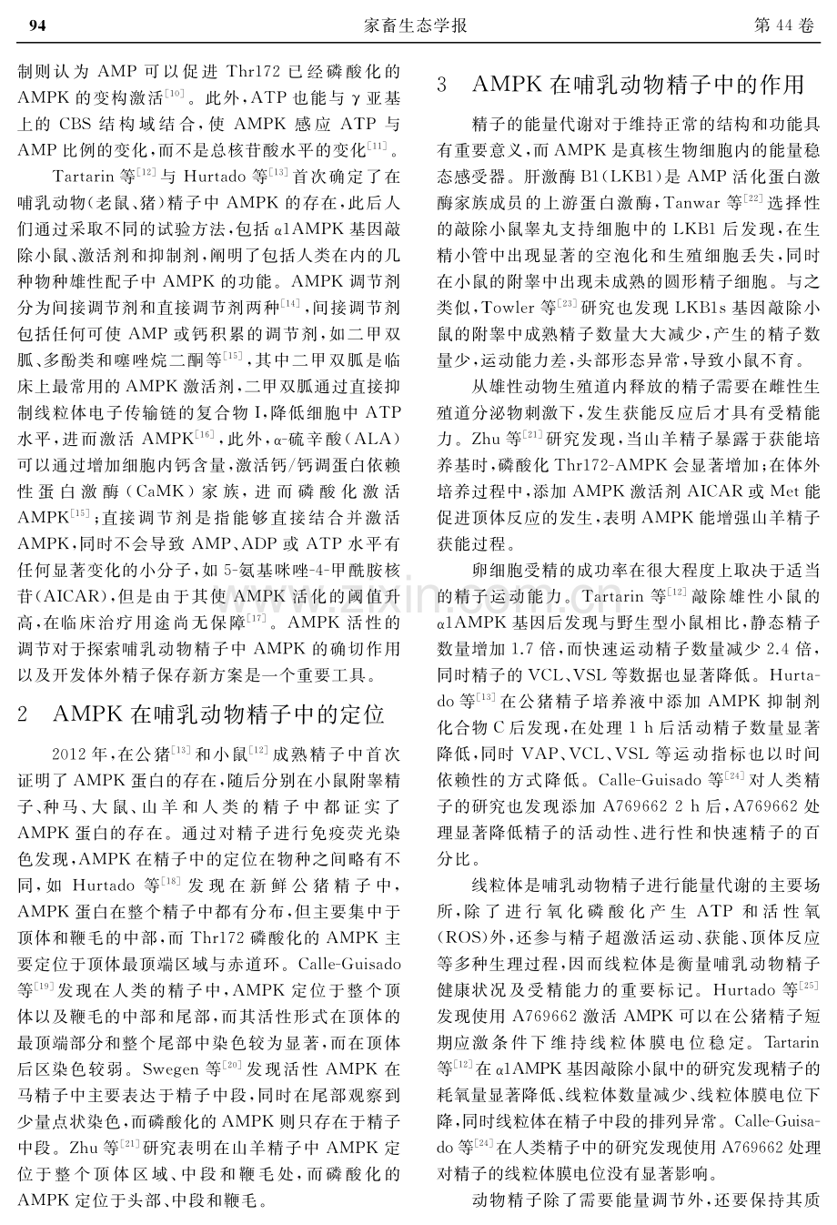 AMPK在哺乳动物精子中的作用研究进展.pdf_第2页