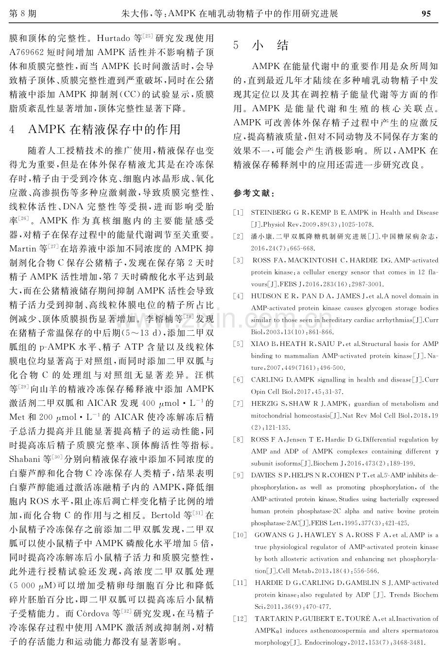 AMPK在哺乳动物精子中的作用研究进展.pdf_第3页