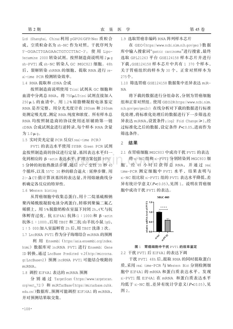 LncRNA PVT1对EIF4A1的表达调控作用及机制研究.pdf_第3页