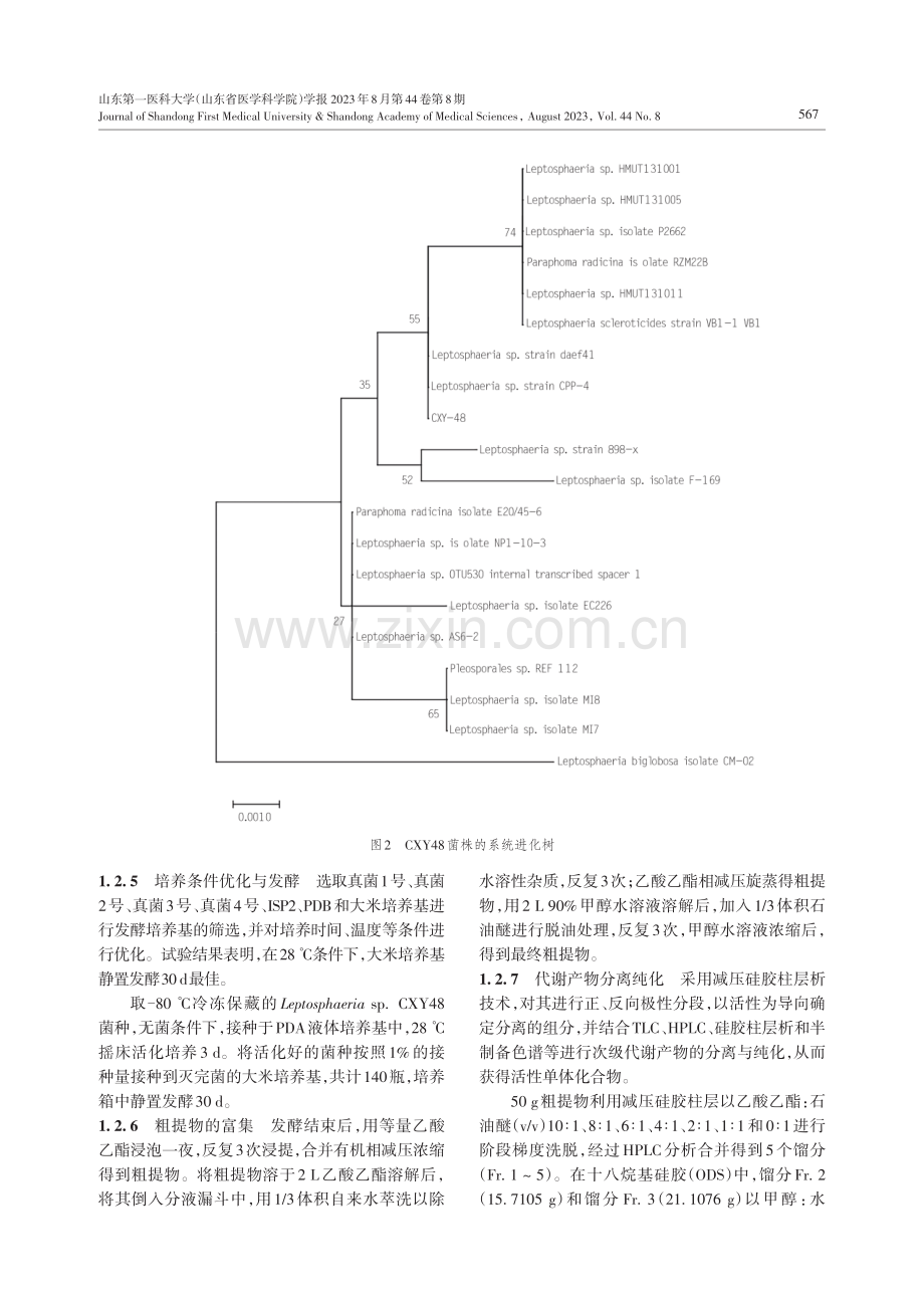 Leptosphaeria sp.CXY48来源苯并吡喃酮类化合物的研究.pdf_第3页