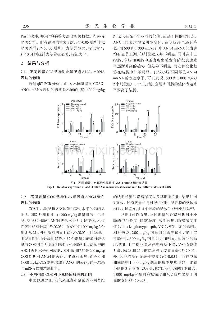 COS对抗菌蛋白ANG4在肠道表达的诱导作用.pdf_第3页