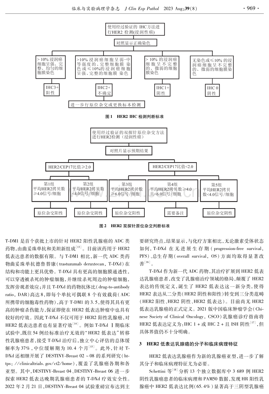 HER2低表达乳腺癌的临床病理特征及HER2表达状态评估研究进展.pdf_第2页