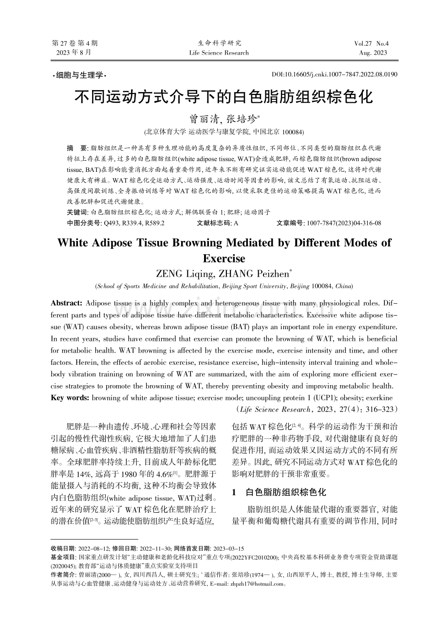 不同运动方式介导下的白色脂肪组织棕色化.pdf_第1页