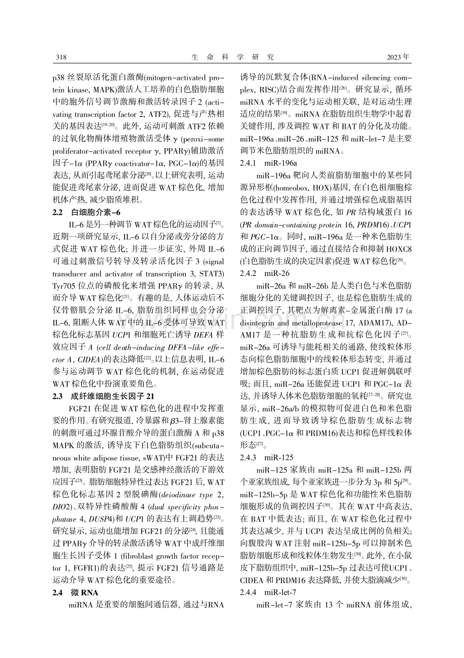 不同运动方式介导下的白色脂肪组织棕色化.pdf_第3页