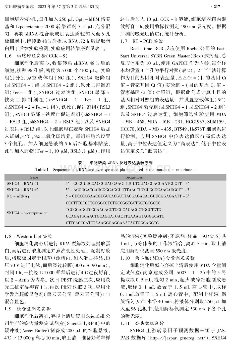 lncRNA SNHG4通过EP300-SNHG4-GPX4轴抑制乳腺癌细胞铁死亡.pdf_第3页