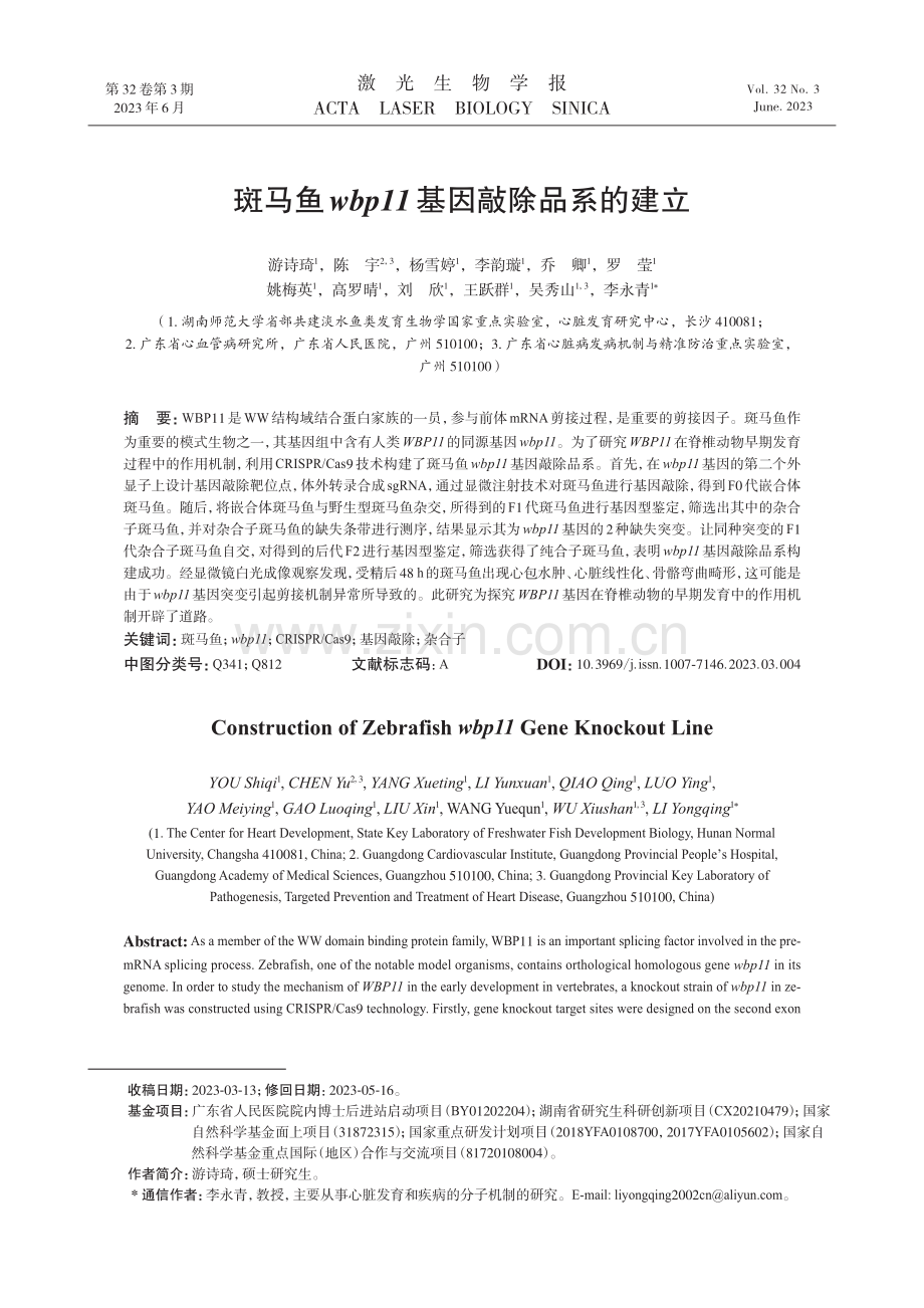 斑马鱼wbp11基因敲除品系的建立.pdf_第1页