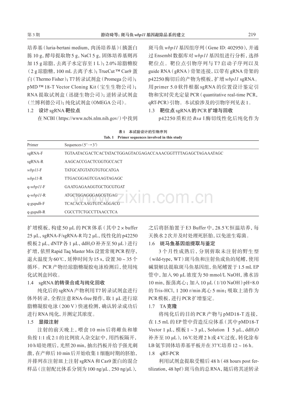 斑马鱼wbp11基因敲除品系的建立.pdf_第3页