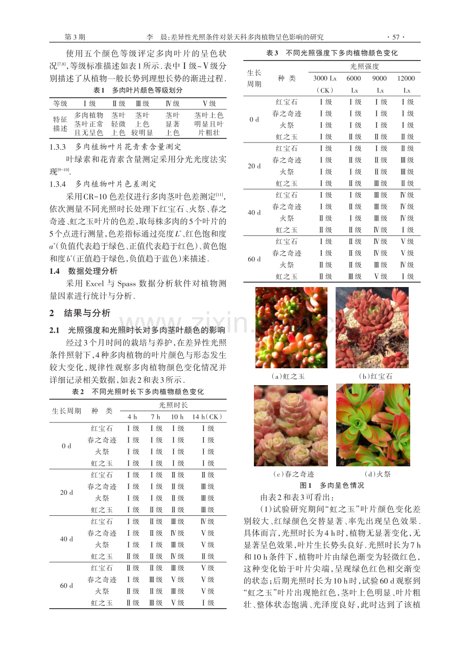 差异性光照条件对景天科多肉植物呈色影响的研究.pdf_第2页