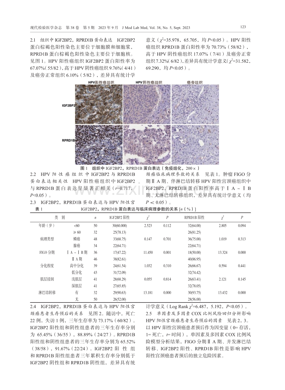 HPV阳性宫颈癌组织中IGF2BP2和RPRD1B的表达水平及临床价值研究.pdf_第3页