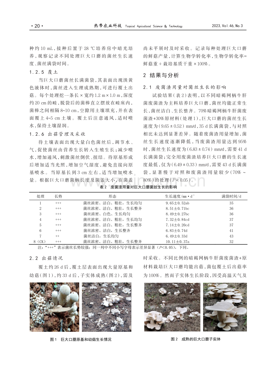 暗褐网柄牛肝菌废菌渣为主料栽培巨大口蘑试验.pdf_第3页