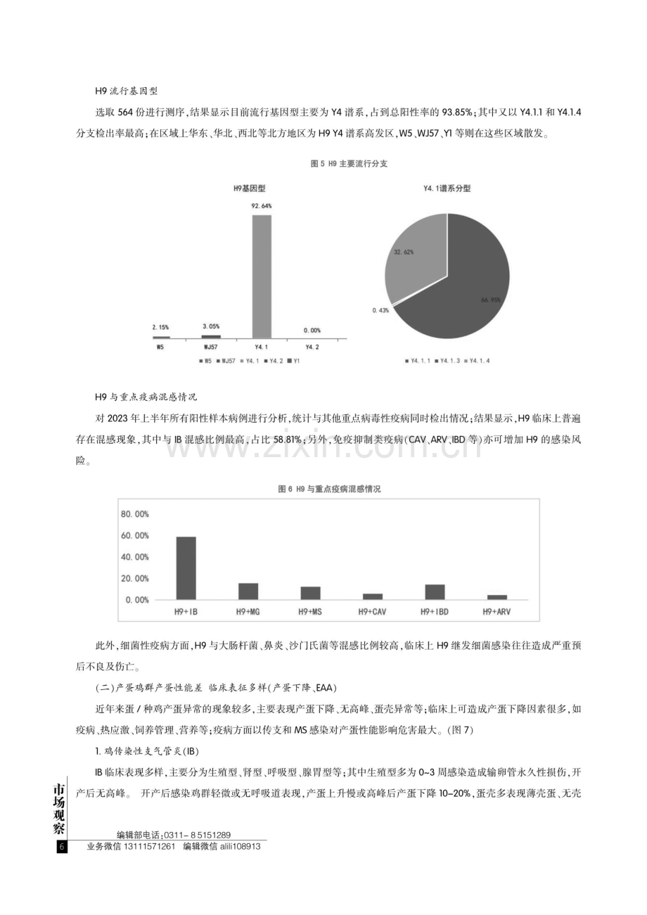 2023年上半年家禽流行病学调查报告.pdf_第3页