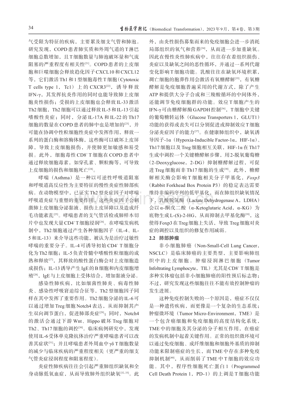 T细胞在肺上皮细胞损伤与修复中的作用和机制.pdf_第3页