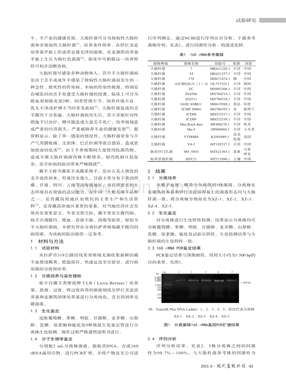 藏羊源致病性大肠杆菌的分离鉴定.pdf_第2页