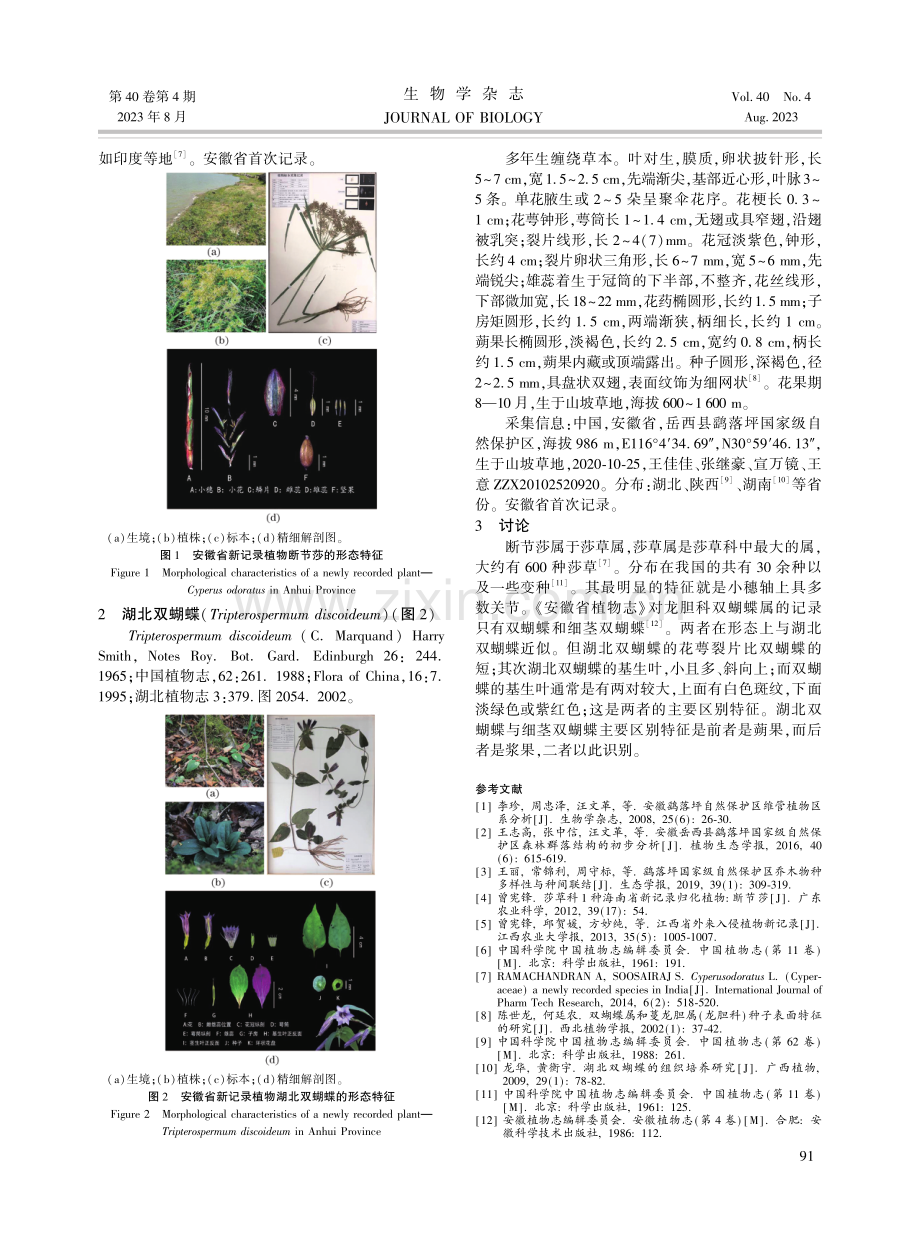 安徽省2种新记录植物.pdf_第2页