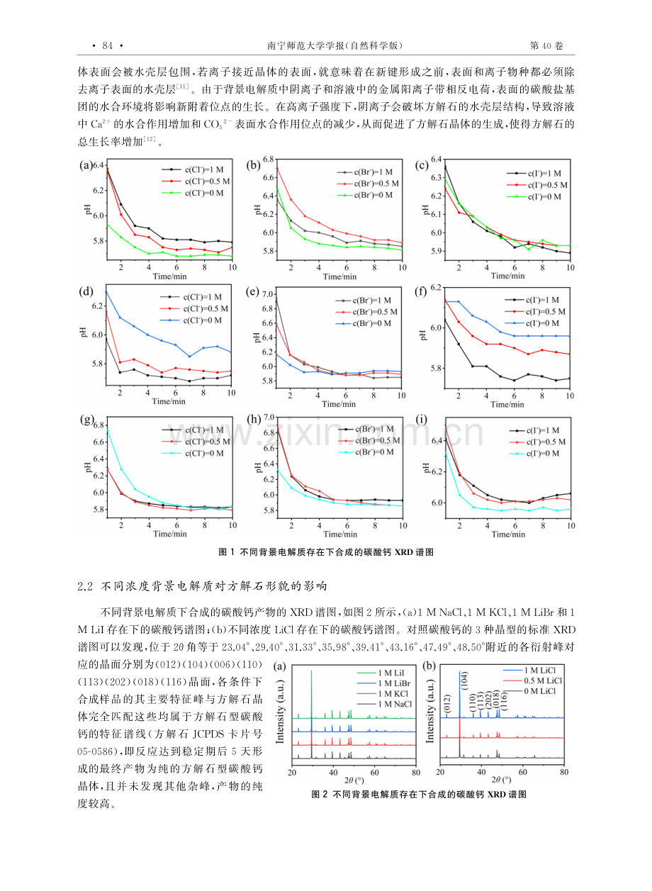 背景电解质对方解石结晶速率和形貌的调控研究.pdf_第3页