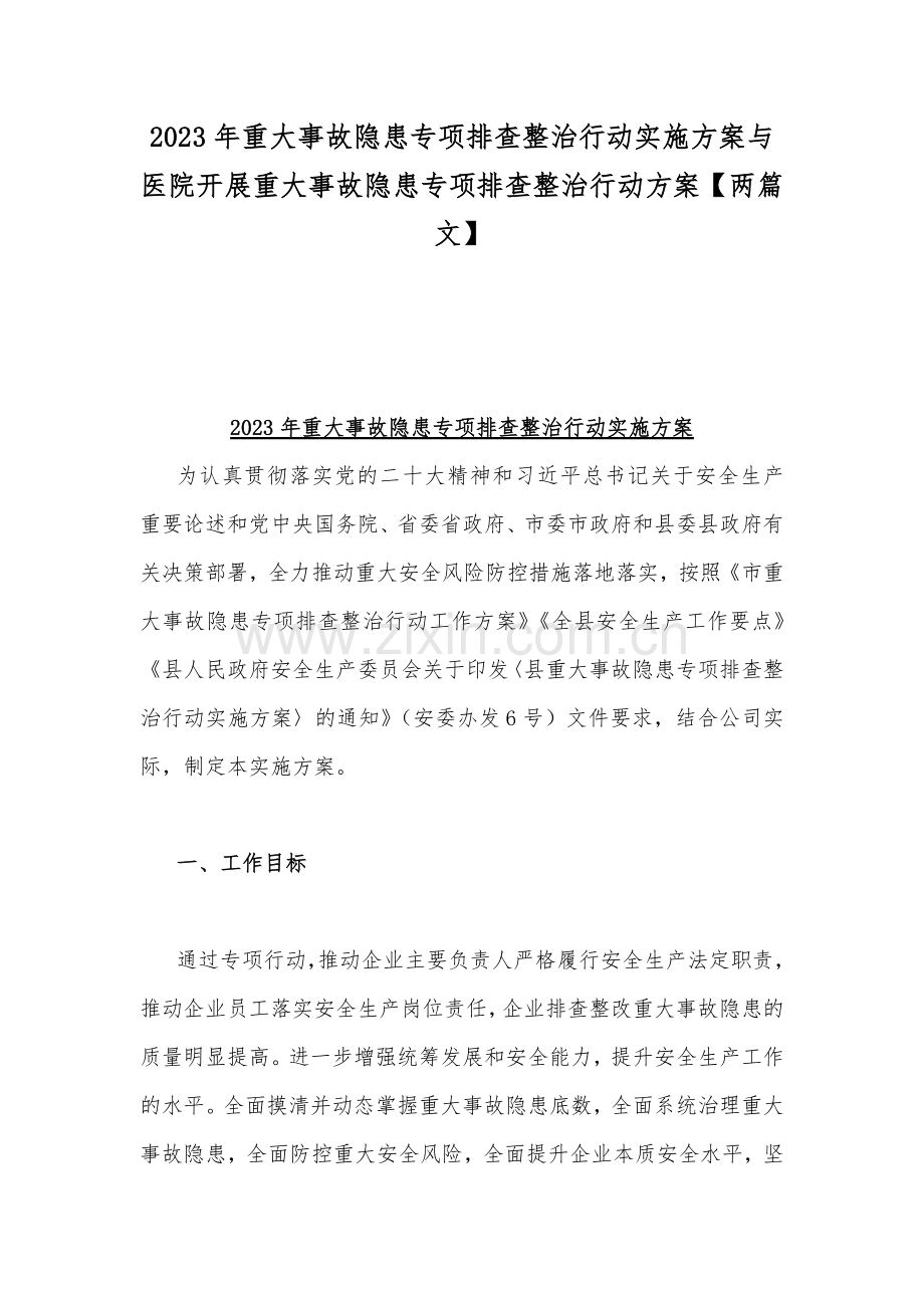 2023年重大事故隐患专项排查整治行动实施方案与医院开展重大事故隐患专项排查整治行动方案【两篇文】.docx_第1页