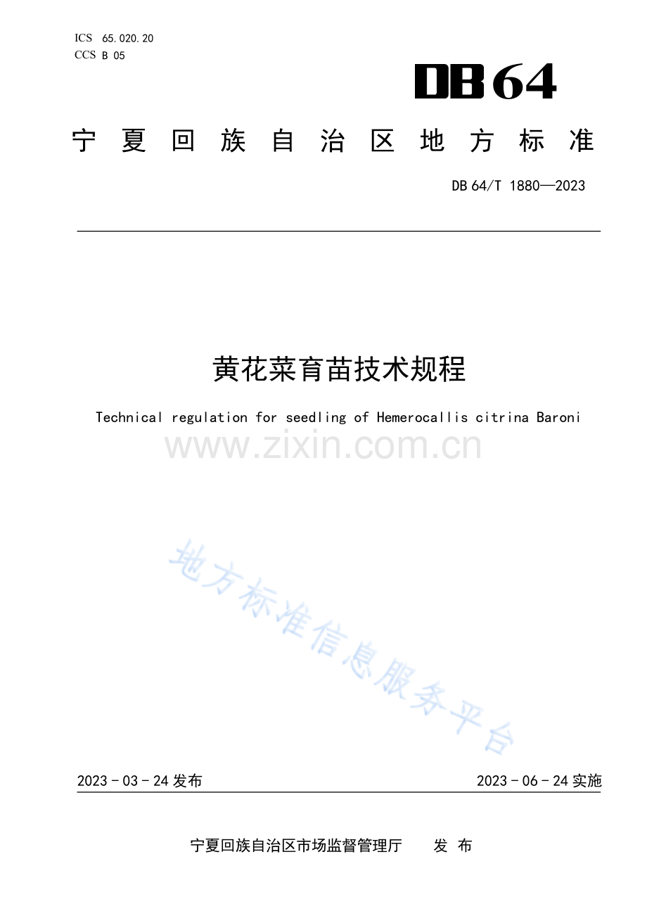 DB64_T1880-2023黄花菜育苗技术规程.pdf_第1页