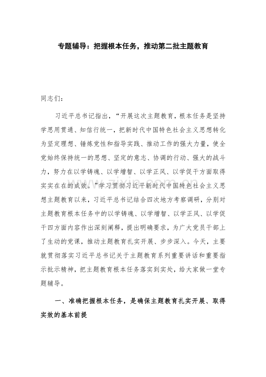 专题辅导：把握根本任务推动第二批主题教育.docx_第1页