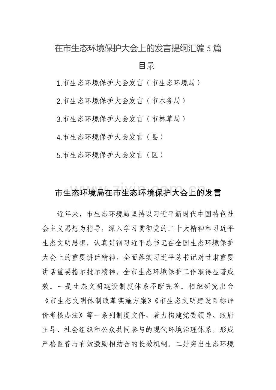 在市生态环境保护大会上的发言提纲汇编5篇范文.docx_第1页