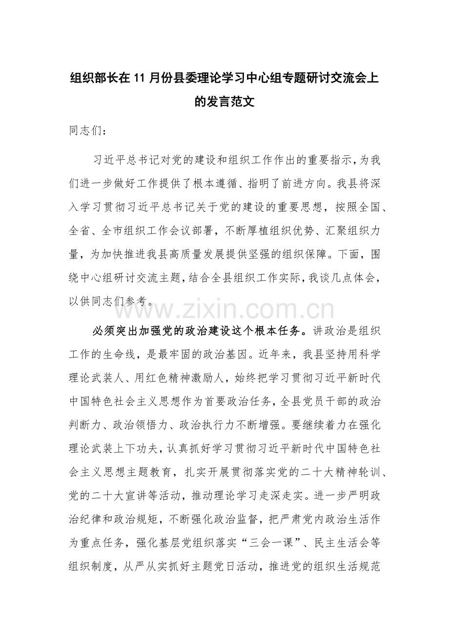 组织部长在11月份县委理论学习中心组专题研讨交流会上的发言范文.docx_第1页