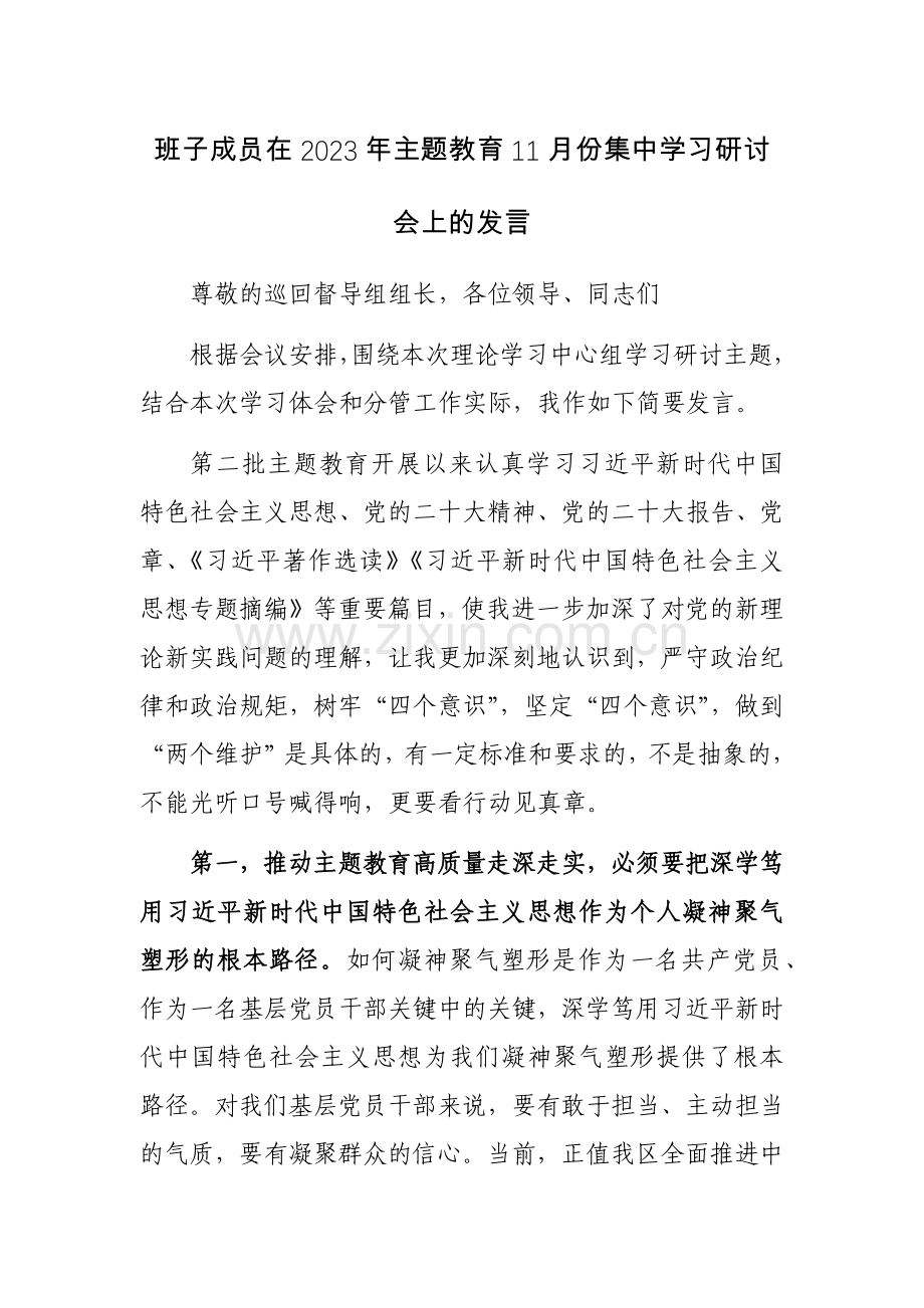 班子成员在2023年主题教育11月份集中学习研讨会上的发言范文.docx_第1页